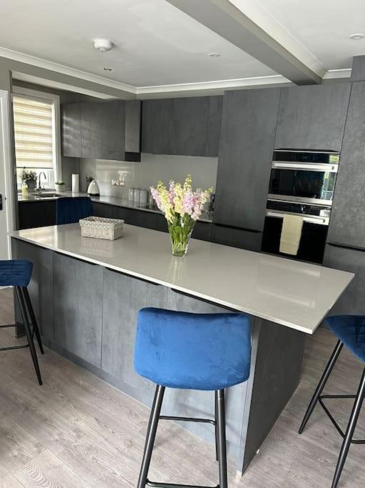 Cameron Coach House Modern Property In Murrayfield Единбург Екстериор снимка